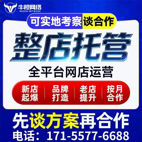 阿里电商代运营