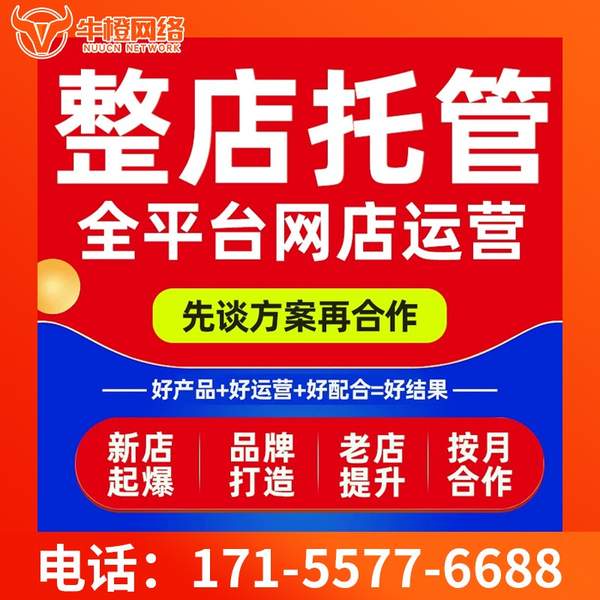 阿里电商代运营